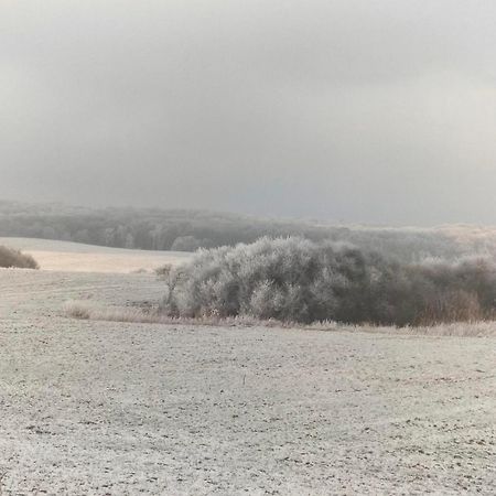 Ferienwohnung Uckermarkblick Ziehten Dış mekan fotoğraf