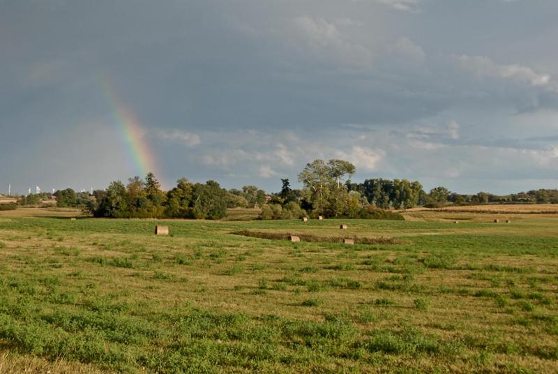 Ferienwohnung Uckermarkblick Ziehten Dış mekan fotoğraf