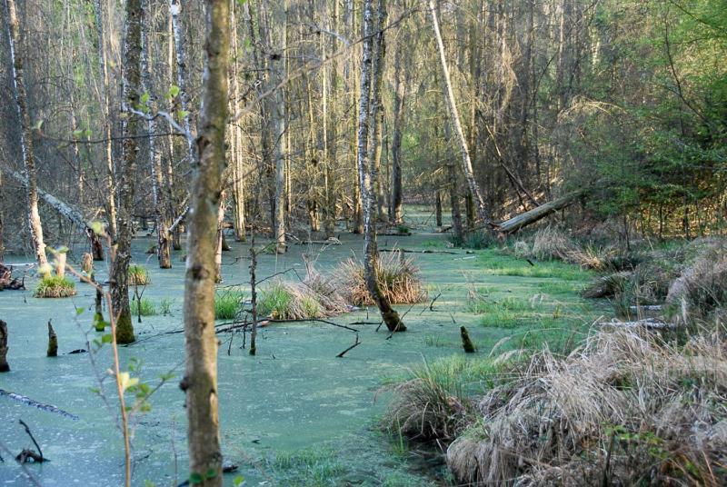 Ferienwohnung Uckermarkblick Ziehten Dış mekan fotoğraf