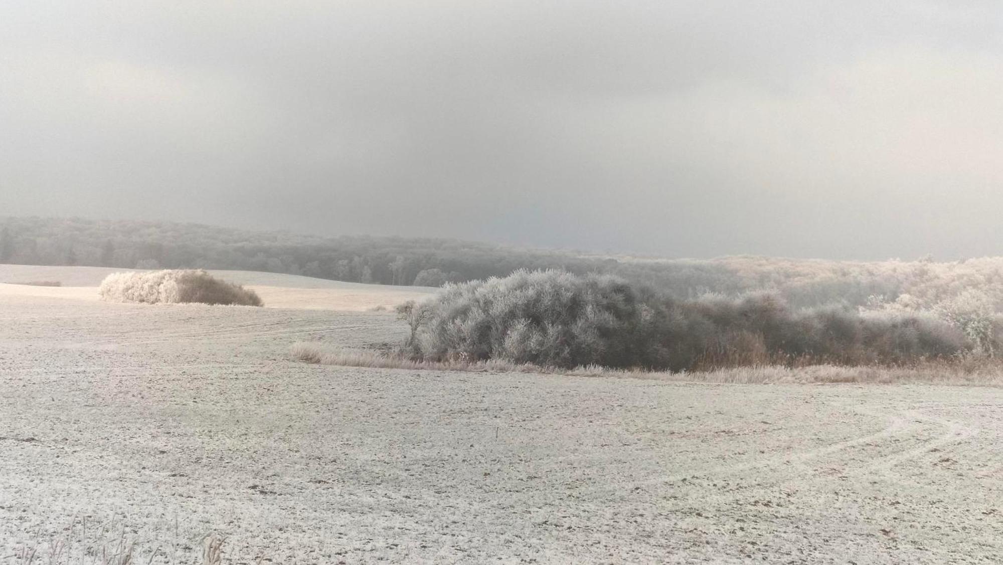 Ferienwohnung Uckermarkblick Ziehten Dış mekan fotoğraf