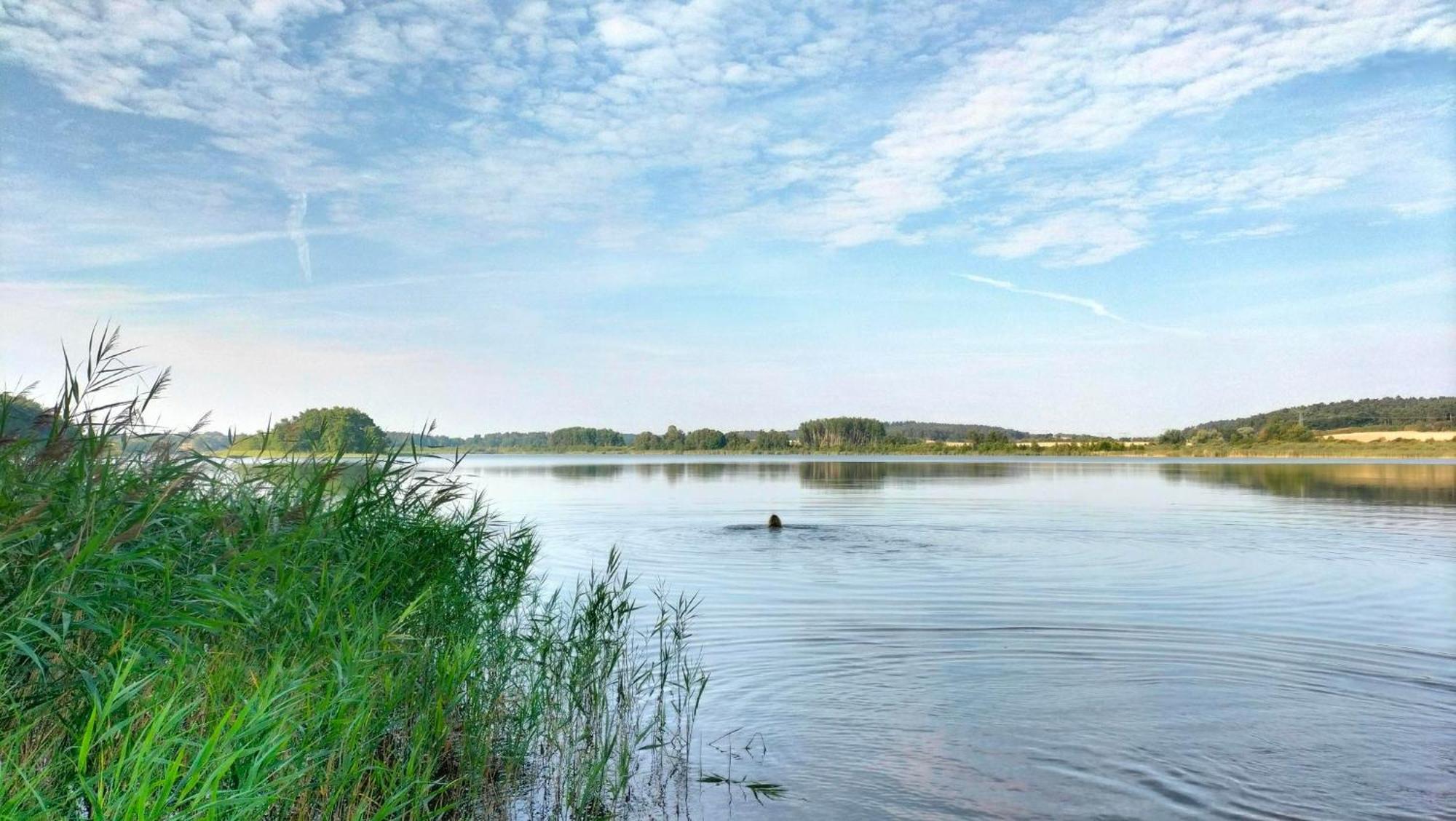Ferienwohnung Uckermarkblick Ziehten Dış mekan fotoğraf
